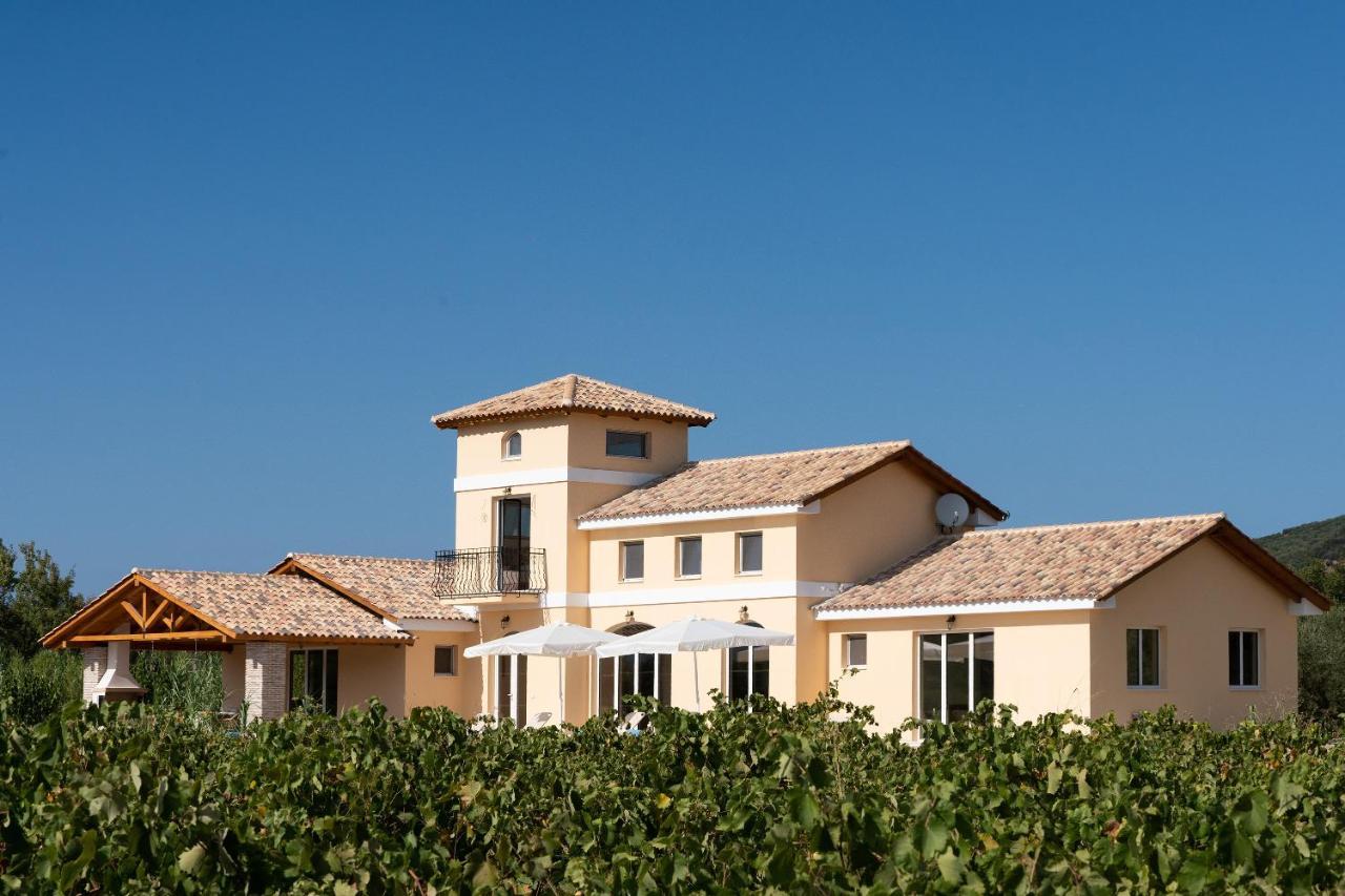 Aneli Luxury Villas - Villa Semeli Agios Kirikos  Exterior photo