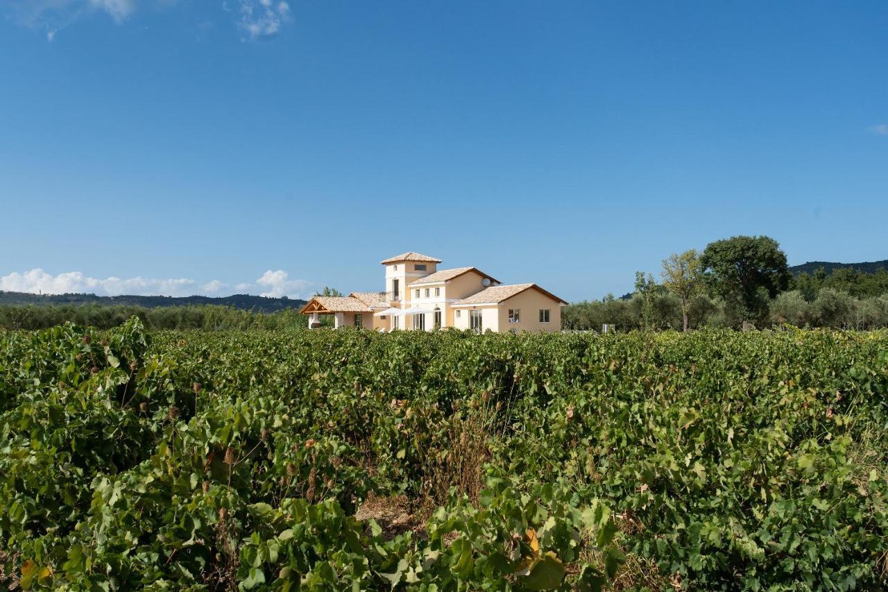 Aneli Luxury Villas - Villa Semeli Agios Kirikos  Exterior photo
