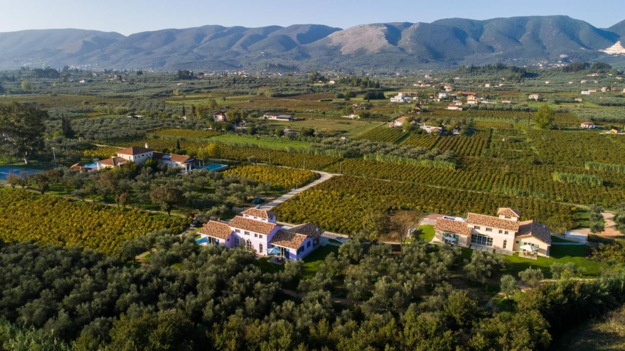 Aneli Luxury Villas - Villa Semeli Agios Kirikos  Exterior photo